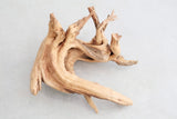 Spider Wood Driftwood