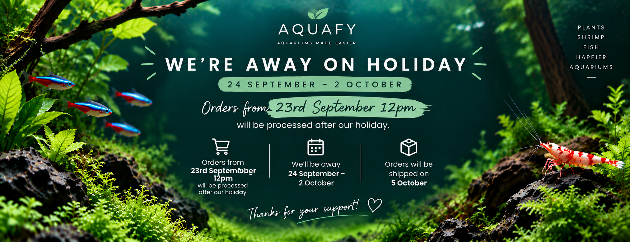 Aquafy Aquatic Shop