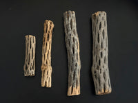 Cholla Wood