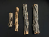 Cholla Wood