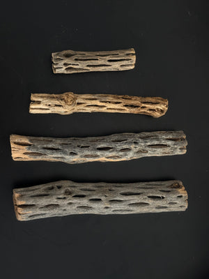 Cholla Wood