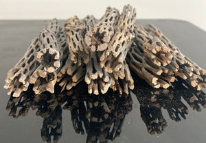 10x Cholla Wood