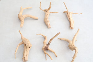 Spider Wood Driftwood