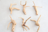 Spider Wood Driftwood