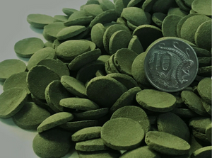 Algae Wafers