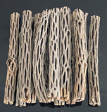 10x Cholla Wood