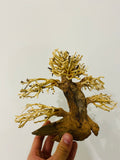 Aquarium Bonsai Driftwood