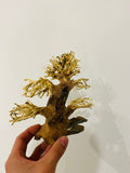 Aquarium Bonsai Driftwood