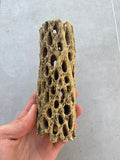 15cm Ceramic Cholla Cave