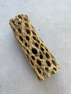 15cm Ceramic Cholla Cave