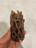 10cm Ceramic Cholla Cave