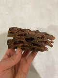 10cm Ceramic Cholla Cave