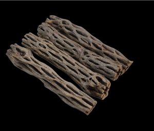 Cholla Wood aquarium