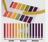PH 1-14 Litmus Test Paper x 80 strips