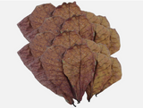 Indian Almond Leaves