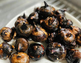 Water Chestnut Corms