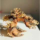 Aquascaping Handmade Aquatic Bonsai Tree Driftwood 