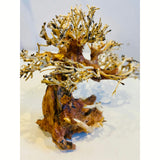 Aquascaping Aquatic Bonsai Driftwood Tree