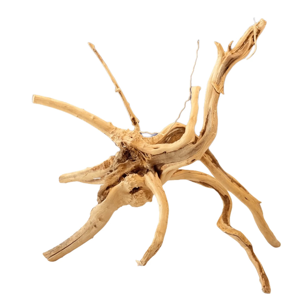 Spiderwood Driftwood for sale