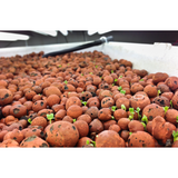 Hydroponic Expanded Clay Balls 1L for sale