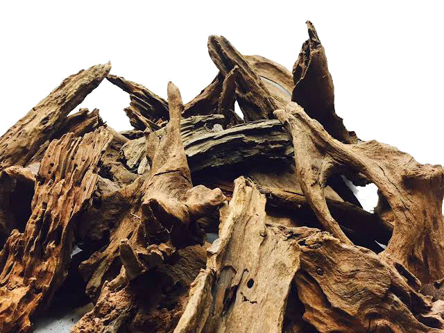 Malaysian Driftwood