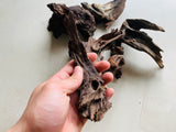 Malaysian Driftwood for sale