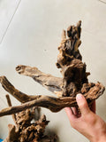 malaysian driftwood aquascape
